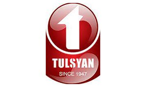 Tulsyan NEC Ltd